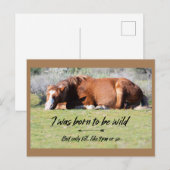 Wild Mustangs Forever Briefkaart (Voorkant / Achterkant)