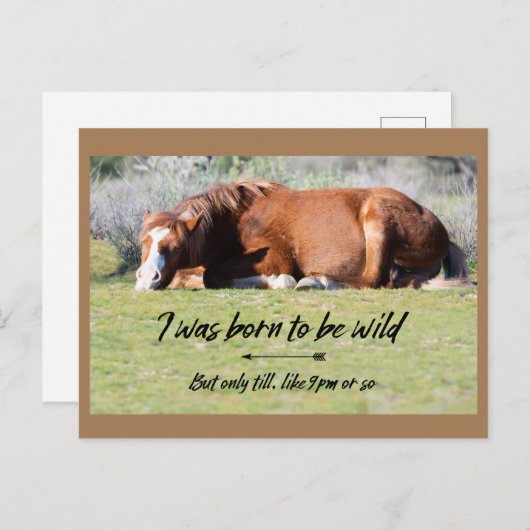 Wild Mustangs Forever Briefkaart (Voorkant / Achterkant)