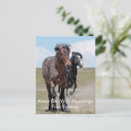 Wild Mustangs Forever Briefkaart (Staand voorkant)