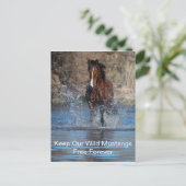 Wild Mustangs Forever Briefkaart (Staand voorkant)