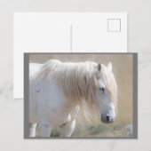 Wild Mustangs Forever Briefkaart (Voorkant / Achterkant)