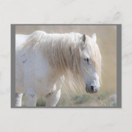 Wild Mustangs Forever Briefkaart