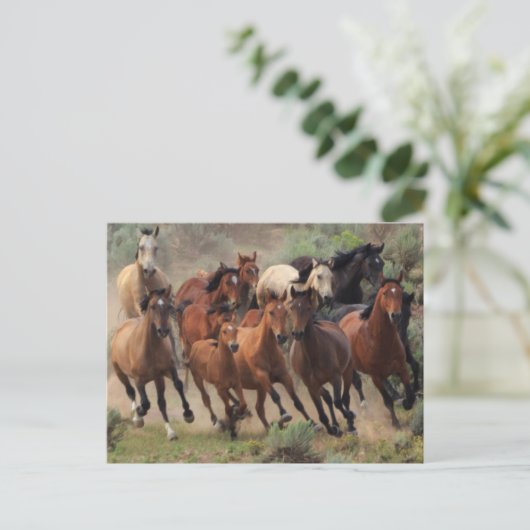 Wild Mustangs Horse Briefkaart (Staand voorkant)