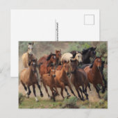 Wild Mustangs Horse Briefkaart (Voorkant / Achterkant)