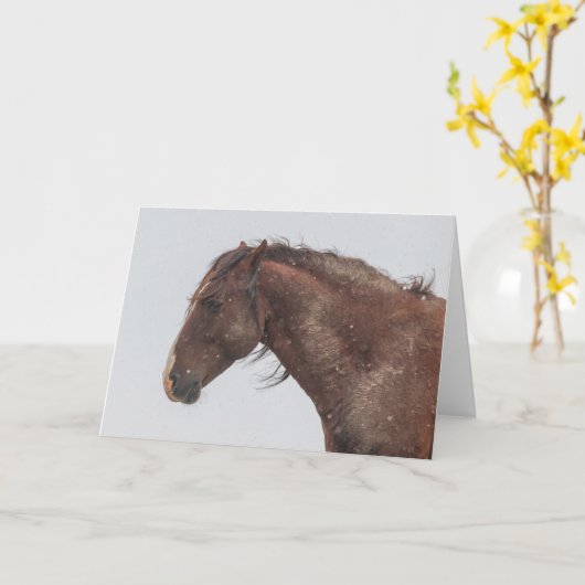 Wild Mustangs in de sneeuwkaart Kaart (Gele Bloem)