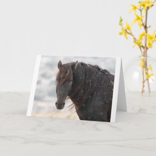 Wild Mustangs in de sneeuwkaart Kaart (Gele Bloem)