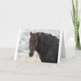 Wild Mustangs in de sneeuwkaart Kaart
