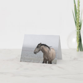 Wild Mustangs in de sneeuwkaart Kaart