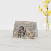 Wild Mustangs in de sneeuwkaart Kaart (Gele Bloem)