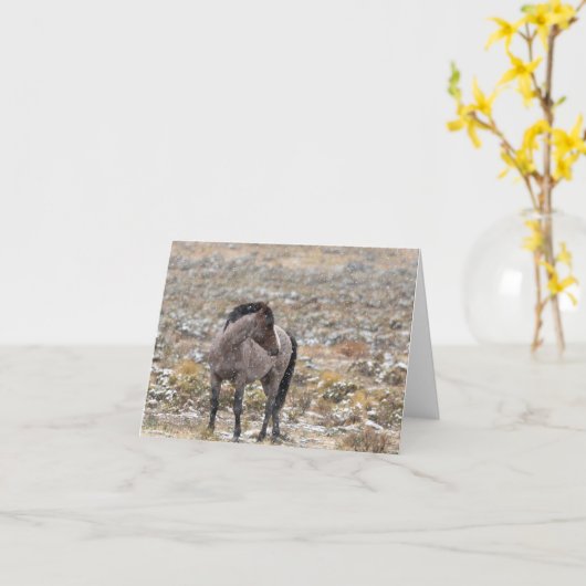 Wild Mustangs in de sneeuwkaart Kaart (Gele Bloem)