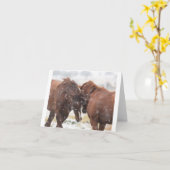 Wild Mustangs in de sneeuwkaart Kaart (Gele Bloem)