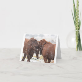 Wild Mustangs in de sneeuwkaart Kaart