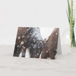 Wild Mustangs in de sneeuwkaart Kaart