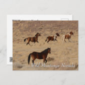 Wild Mustangs in Nevada desert Briefkaart (Voorkant / Achterkant)