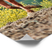 Wild Mustangs Poster (Hoek)