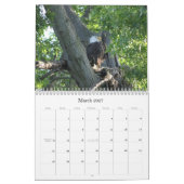 Wild Natuur-Bald Eagle Foto Kalender (Mar 2027)