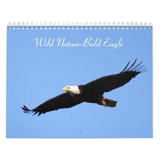 Wild Natuur-Bald Eagle Foto Kalender (Hoes)