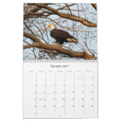 Wild Natuur-Bald Eagle Kalender (Jan 2027)