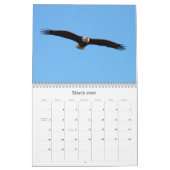 Wild Natuur-Bald Eagle Kalender (Mar 2026)