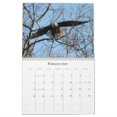 Wild Natuur-Bald Eagle Kalender (Feb 2026)