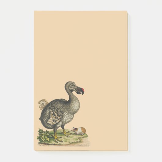 Wild Natuur DoDo Bird Post-it® Notes (Voorkant)