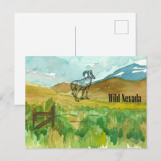 Wild Nevada Bighorn schapen woestijn landschap Briefkaart (Voorkant / Achterkant)