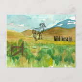 Wild Nevada Bighorn schapen woestijn landschap Briefkaart (Voorkant)