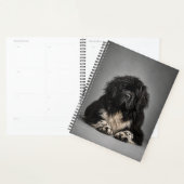 Wild Newf-haar, het kan me niet schelen Planner (Display)