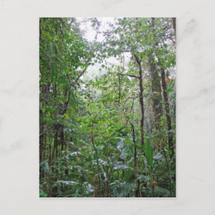 wild oerwoud briefkaart
