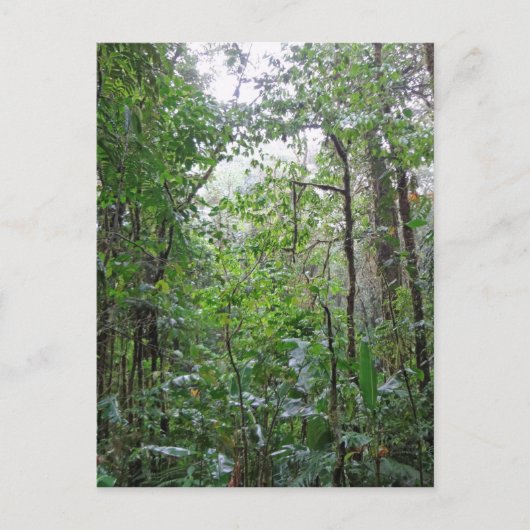 wild oerwoud briefkaart (Voorkant)