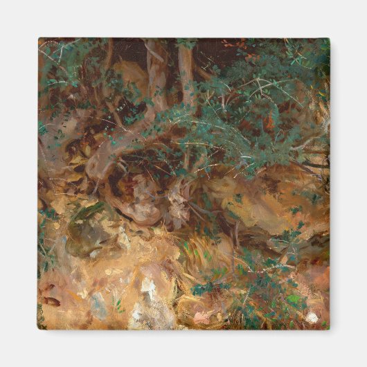 Wild Olive Tree Roots, 1908 by John Singer Sargent Magneet (Voorkant)