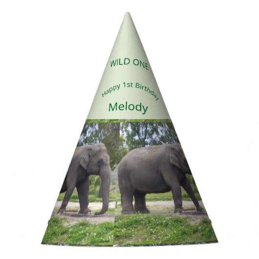 Wild One Elephant Birthday Cone Design Feesthoedjes (Voorkant)