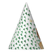 Wild One Safari Lion Birthday Party Pet Feesthoedjes (Links)