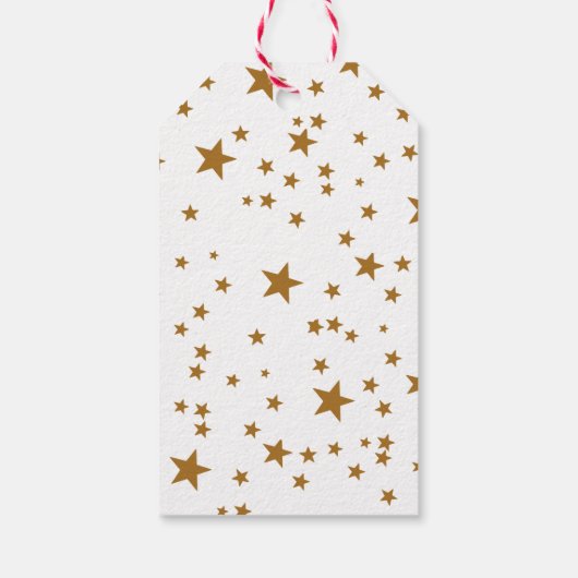 Wild One Safari Party bedankt voor uw komst Cadeaulabel (Achterkant)