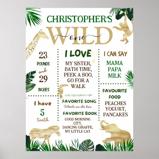 Wild One Safari Theme Birthday Party Poster (Voorkant)