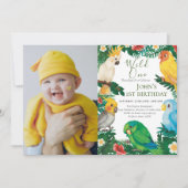 Wild One Tropical Exotic Parrots Boy 1st Birthday Kaart (Voorkant)
