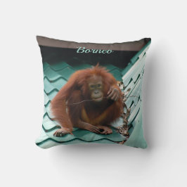 Wild Orangutan Ape op dak op Borneo-foto Kussen