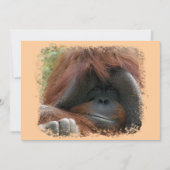 Wild Orangutan Birthday Party nodigt uit Kaart (Voorkant)
