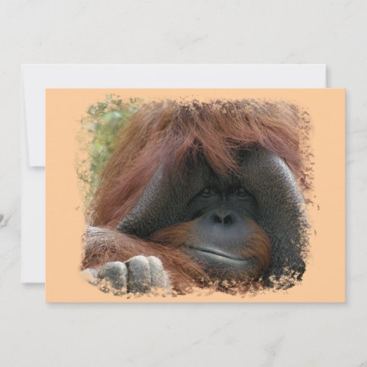 Wild Orangutan Birthday Party nodigt uit Kaart (Voorkant)