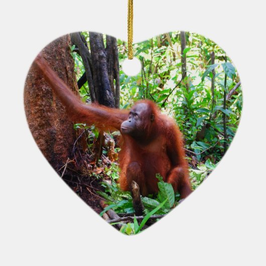 Wild Orangutan Holiday Keramisch Ornament (Achterkant)