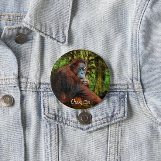 Wild Orangutan & Oerwoud Primate Art Button (In situ)