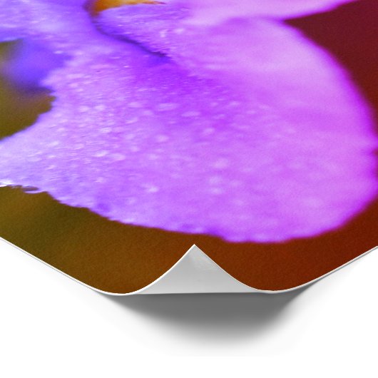 Wild Orchid Flower Poster (Hoek)