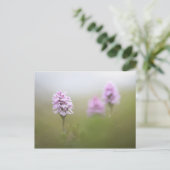 Wild Orchid Foto Briefkaart (Staand voorkant)