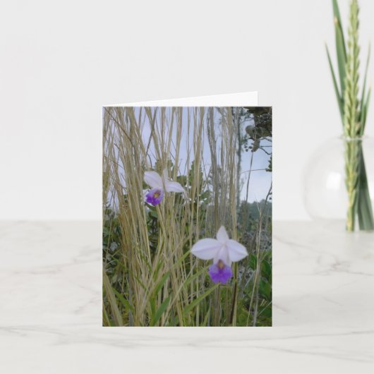 Wild Orchid Notecards, Big Island, Hawaï Kaart (Voorkant)