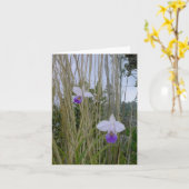 Wild Orchid Notecards, Big Island, Hawaï Kaart (Gele Bloem)