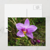 Wild Orchid Paarse Tropische Bloem Briefkaart (Voorkant / Achterkant)