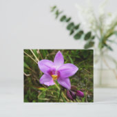 Wild Orchid Paarse Tropische Bloem Briefkaart (Staand voorkant)