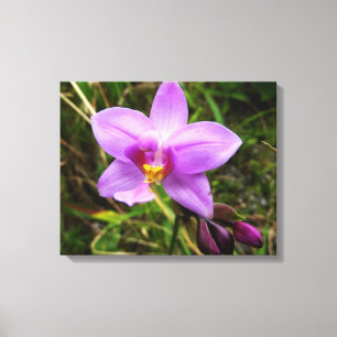 Wild Orchid Paarse Tropische Bloem Canvas Afdruk