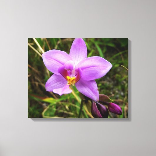 Wild Orchid Paarse Tropische Bloem Canvas Afdruk (Voorkant)