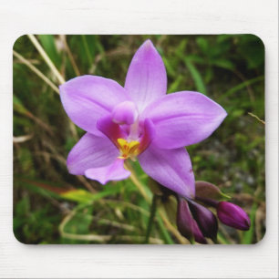 Wild Orchid Paarse Tropische Bloem Muismat